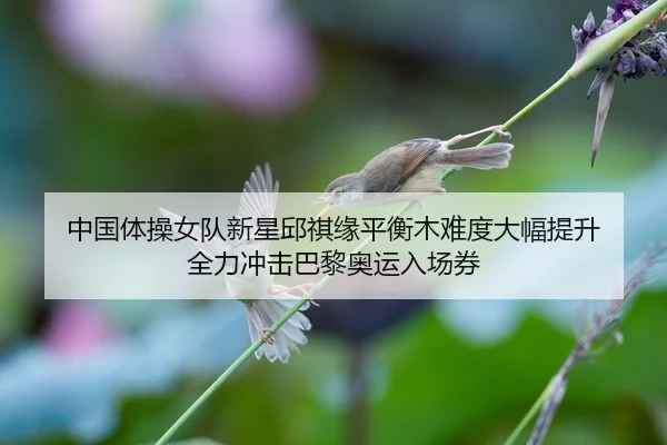 中国体操女队新星邱祺缘平衡木难度大幅提升 全力冲击巴黎奥运入场券