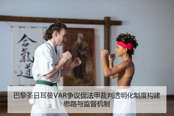ba-li-sheng-ri-er-man-zheng-yi-cu-fa-jia-cai-pan-tou-ming-hua-zhi-du-gou-jian-si-lu-yu-jian-du-ji-zhi-2-261.jpg